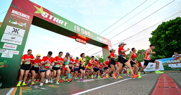 Jin88 cược thể thao